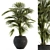 Tropical Oasis Indoor Plant Set 3D model small image 1