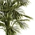 Tropical Oasis Indoor Plant Set 3D model small image 3