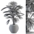 Tropical Oasis Indoor Plant Set 3D model small image 4