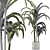 Tropical Trio: Beach and Concrete Pot Palms 3D model small image 3