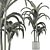 Tropical Trio: Beach and Concrete Pot Palms 3D model small image 4