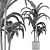 Tropical Trio: Beach and Concrete Pot Palms 3D model small image 5