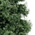 Arctic Evergreen: Year-round Beauty 3D model small image 3