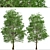 European Linden Trees: 2 Fragrant Beauties 3D model small image 2