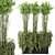 Rustic Concrete Pot Bamboo Set 3D model small image 2