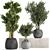 Tropical Plant Collection: Exotic & Decorative Trees for Indoors & Outdoors 3D model small image 1