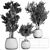 Tropical Plant Collection: Exotic & Decorative Trees for Indoors & Outdoors 3D model small image 5