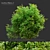 Carolina Allspice: 1.8m Height, Vray and Corona Material Libraries 3D model small image 1