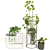 Indoor Oasis: Vase Pack 2 3D model small image 1