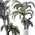 Exterior Plant Collection 137: Beach Palms 3D model small image 3