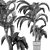 Exterior Plant Collection 137: Beach Palms 3D model small image 4