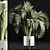 Tropical Palm Plant Collection 3D model small image 2