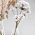Elegant Dry Flower Arrangement 3D model small image 4