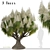 Succulent Trio: Ponytail Palm Trees 3D model small image 2