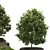 Minimal Outdoor Plant 3D Model 3D model small image 3