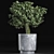 Realistic Sageretia Theezans Plant 3D model small image 1