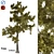High-Quality 3D Tree Collection 3D model small image 1