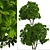 Tropical Frangipani Tree Set (4 Trees) 3D model small image 2
