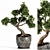 Zen Bonsai Tree Sculpture 3D model small image 1