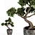 Zen Bonsai Tree Sculpture 3D model small image 3