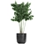 Tropical Plant Collection: Decorative Trees & Exotic Houseplants 3D model small image 3