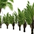 Exquisite Set of Triangle Palm Trees 3D model small image 3