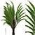 Exquisite Set of Triangle Palm Trees 3D model small image 4