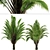 Exquisite Set of Triangle Palm Trees 3D model small image 5