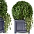 Outdoor Greenery in Wooden Planters 3D model small image 1