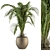 Tropical Bliss: Indoor Plant Set 3D model small image 1