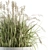 Indian Grass Indoor Plant Set 3D model small image 2