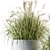 Indian Grass Indoor Plant Set 3D model small image 3