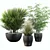 Luxury Plants Collection: 080 3D model small image 1