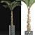 Lush Tropical Palm Collection 3D model small image 3