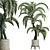 Egyptian Palm: Stunning Outdoor Large Houseplant 3D model small image 1