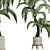 Egyptian Palm: Stunning Outdoor Large Houseplant 3D model small image 2