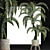 Egyptian Palm: Stunning Outdoor Large Houseplant 3D model small image 3