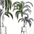 Egyptian Palm: Stunning Outdoor Large Houseplant 3D model small image 4