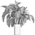 Egyptian Palm: Indoor & Outdoor Plant Collection 3D model small image 5