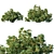 Silver Wattle Bush 02 - Unique Ornamental Plant 3D model small image 1
