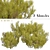 Golden Mugo Pine Shrub Set (3 Shrubs) 3D model small image 1