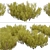 Golden Mugo Pine Shrub Set (3 Shrubs) 3D model small image 2