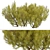 Golden Mugo Pine Shrub Set (3 Shrubs) 3D model small image 4