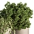 Lush Indoor Greenery Set 3D model small image 4