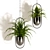 Green Oasis Indoor Plant Set 3D model small image 3