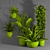 Green Oasis Indoor Plant Set 3D model small image 4