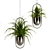 Green Oasis Indoor Plant Set 3D model small image 6