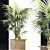 Exquisite 165 Arabian Palm Set 3D model small image 3