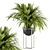 Tropical Paradise Plant Set 3D model small image 1