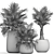 Exotic Palm Plant Collection 3D model small image 5